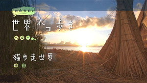 岩合光昭の世界ネコ歩き 1. évad Ep.37 37. epizód