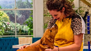 Pooch Perfect 1. évad Ep.7 7. epizód