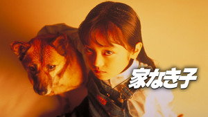 家なき子 kép