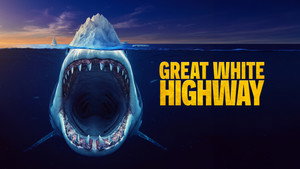 Shark Week 39. évad Ep.19 19. epizód