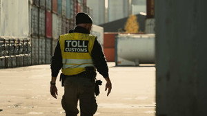Toll kép
