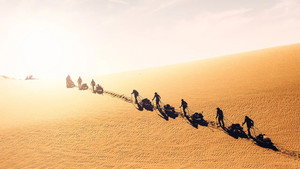 De Expeditie kép