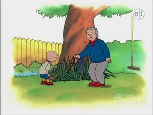 Caillou 2. évad Ep.37 37. epizód
