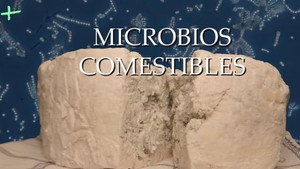 Planeta Microbio 1. évad Ep.10 10. epizód