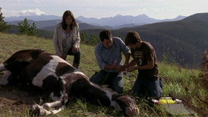 Heartland 3. évad Ep.9 9. epizód