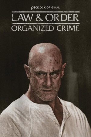 Law & Order: Organized Crime poszter