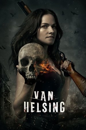Van Helsing poszter