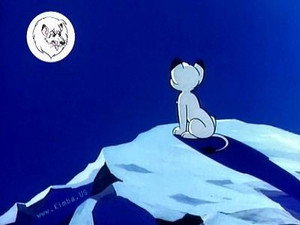 ジャングル大帝 1. évad Ep.22 22. epizód