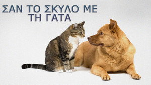 Σαν τον σκύλο με τη γάτα kép