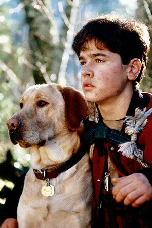 Jesse Bradford profil kép