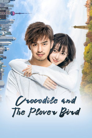 鳄鱼与牙签鸟 poszter