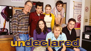 Undeclared kép