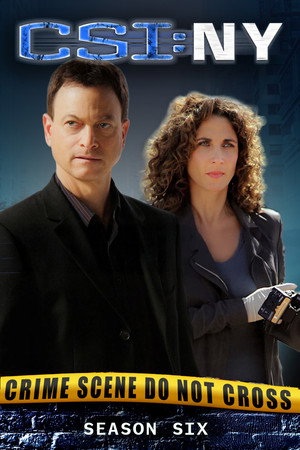 CSI: New York-i helyszínelők 6. évad (2009-09-23) poszter