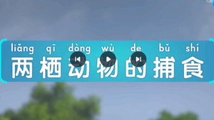 斑马百科 29. évad Ep.7 7. epizód