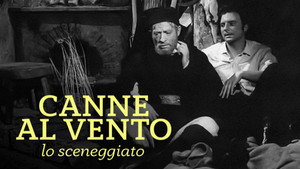 Canne al Vento kép