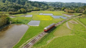 Train Cruise 6. évad Ep.5 5. epizód