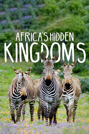 Afrika rejtett királyságai poszter