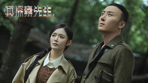 真探秦先生 kép