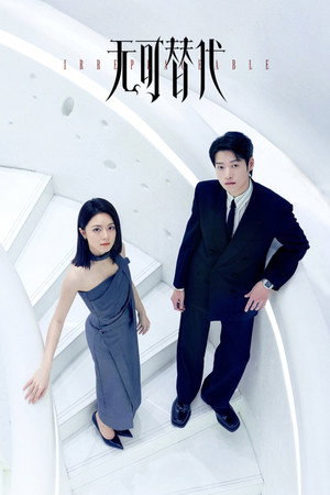 无可替代 poszter