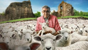 Eugene Levy, a kedvetlen utazó kép