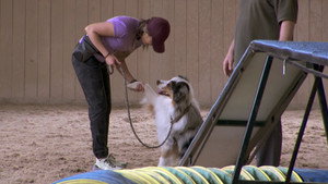 The Amazing Race Canada 8. évad Ep.6 6. epizód