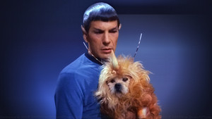 Star Trek kép
