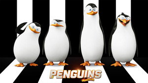 A Madagaszkár pingvinjei kép
