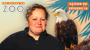 Une saison au zoo 8. évad Ep.14 14. epizód
