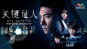 关键证人 kép