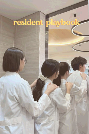 언젠가는 슬기로울 전공의생활 poszter