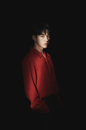 엘 profil kép