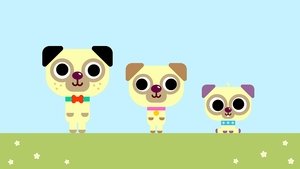 Hey Duggee 5. évad Ep.7 7. epizód