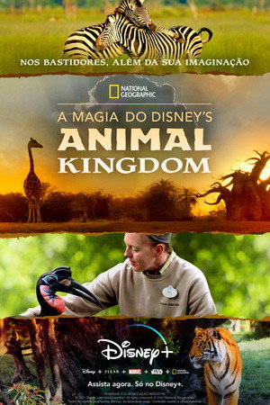 Magic of Disney's Animal Kingdom poszter