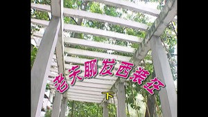 外来媳妇本地郎 2. évad Ep.358 358. epizód