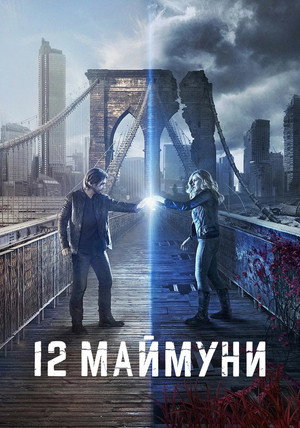 12 majom poszter