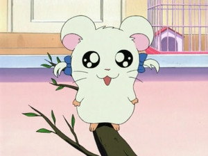とっとこハム太郎 1. évad Ep.4 4. epizód