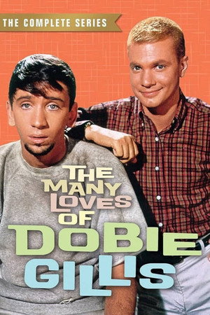 The Many Loves of Dobie Gillis Speciális epizódok () poszter
