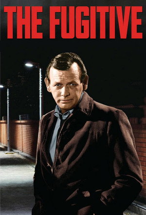 The Fugitive poszter