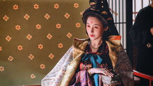 长安的荔枝 kép