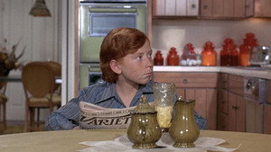 The Partridge Family 1. évad Ep.13 13. epizód