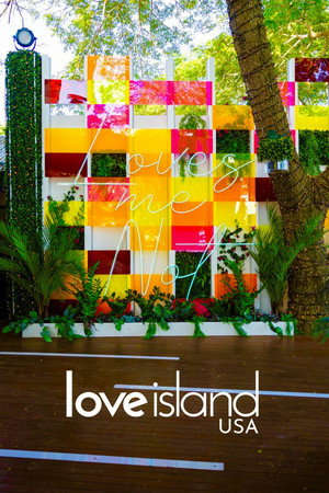 Love Island USA poszter