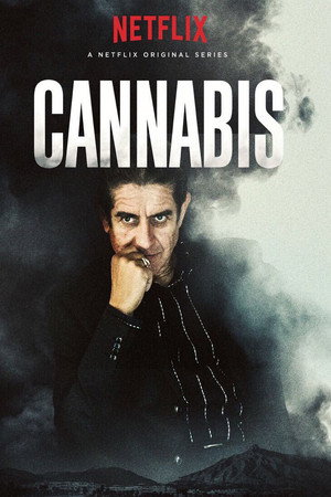 Cannabis poszter