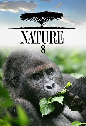 Nature 8. évad (1989-10-08) poszter