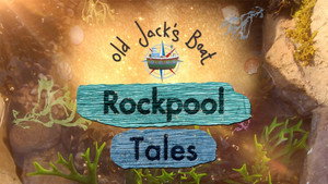 Old Jack's Boat: Rockpool Tales kép