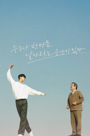 나빌레라 poszter