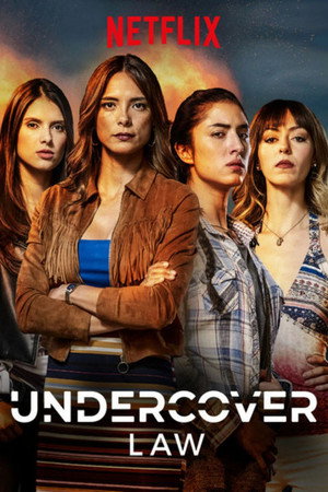La ley secreta 1. évad (2018-08-31) poszter