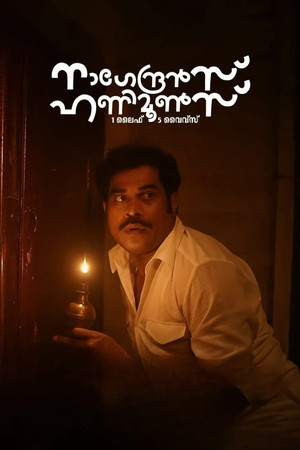 നാഗേന്ദ്രൻസ് ഹണിമൂൺസ് poszter