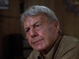 Eight Is Enough 4. évad Ep.9 9. epizód
