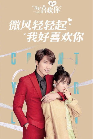 我好喜欢你 poszter