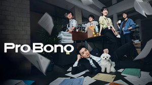 Pro Bono kép